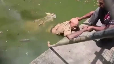 影／餵食秀爆奪命意外！動物園員工遭鱷魚襲擊 「咬住雙腿1小時」影片瘋傳　搶救1天不治身亡