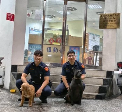 紅貴賓雨夜走失急壞飼主！旗津所犬「黑醬」神助攻　一聲吠找到牠