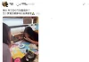 毛豆塞回收口引爆怒火!女高中生嗆告網友再掀波瀾 校方啟動懲處、藏壽司將索賠 毛豆塞回收口引爆怒火!女高中生嗆告網友再掀波瀾 校方啟動懲處、藏壽司將索賠