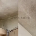 獨/高師大宿舍飄「霉」味!學生喊「睡醒長香菇」 校方:豪雨造成、已處理 獨/高師大宿舍飄「霉」味!學生喊「睡醒長香菇」 校方:豪雨造成、已處理