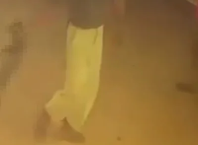 殘怨！通霄老翁徒手掐死貓拎屍逛大街　嫌貓叫太吵影響睡眠下毒手