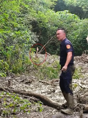 高雄男失聯4天！警消搜山驚見「只剩一顆頭」　他深陷泥淖奇蹟救回