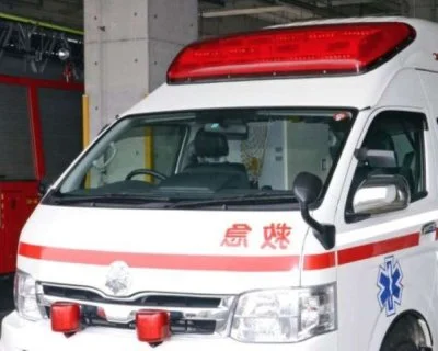 日本農場離奇命案！22歲男打疫苗「遭300公斤豬重壓」　窒息送醫身亡