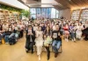 從醫師到書寫者 袁上雯《明亮的生活》在食物與記憶中尋找自己 從醫師到書寫者 袁上雯《明亮的生活》在食物與記憶中尋找自己
