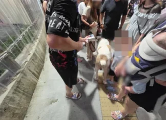 快訊/連假第三天!高雄瑞豐夜市傳衝突 因「狗體型大」爭執 快訊/連假第三天!高雄瑞豐夜市傳衝突 因「狗體型大」爭執