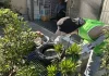 彰化市再現今年第二例登革熱群聚 和首例住處相隔110公尺 彰化市再現今年第二例登革熱群聚 和首例住處相隔110公尺