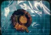 六旬男突發腹痛竟是腸阻塞!醫師開刀取出「整朵香菇」揭原因 六旬男突發腹痛竟是腸阻塞!醫師開刀取出「整朵香菇」揭原因