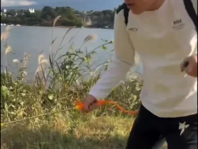 影／疑在日本河口湖噴除草劑！陸網紅稱「藥死雜草」惹怒全網　急改口：是純淨水