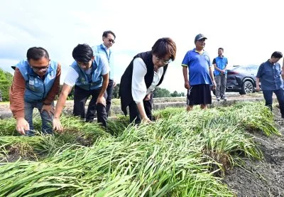 薔琵颱風重創農作  王惠美溪州勘災 籲加速農損查報爭取中央救助